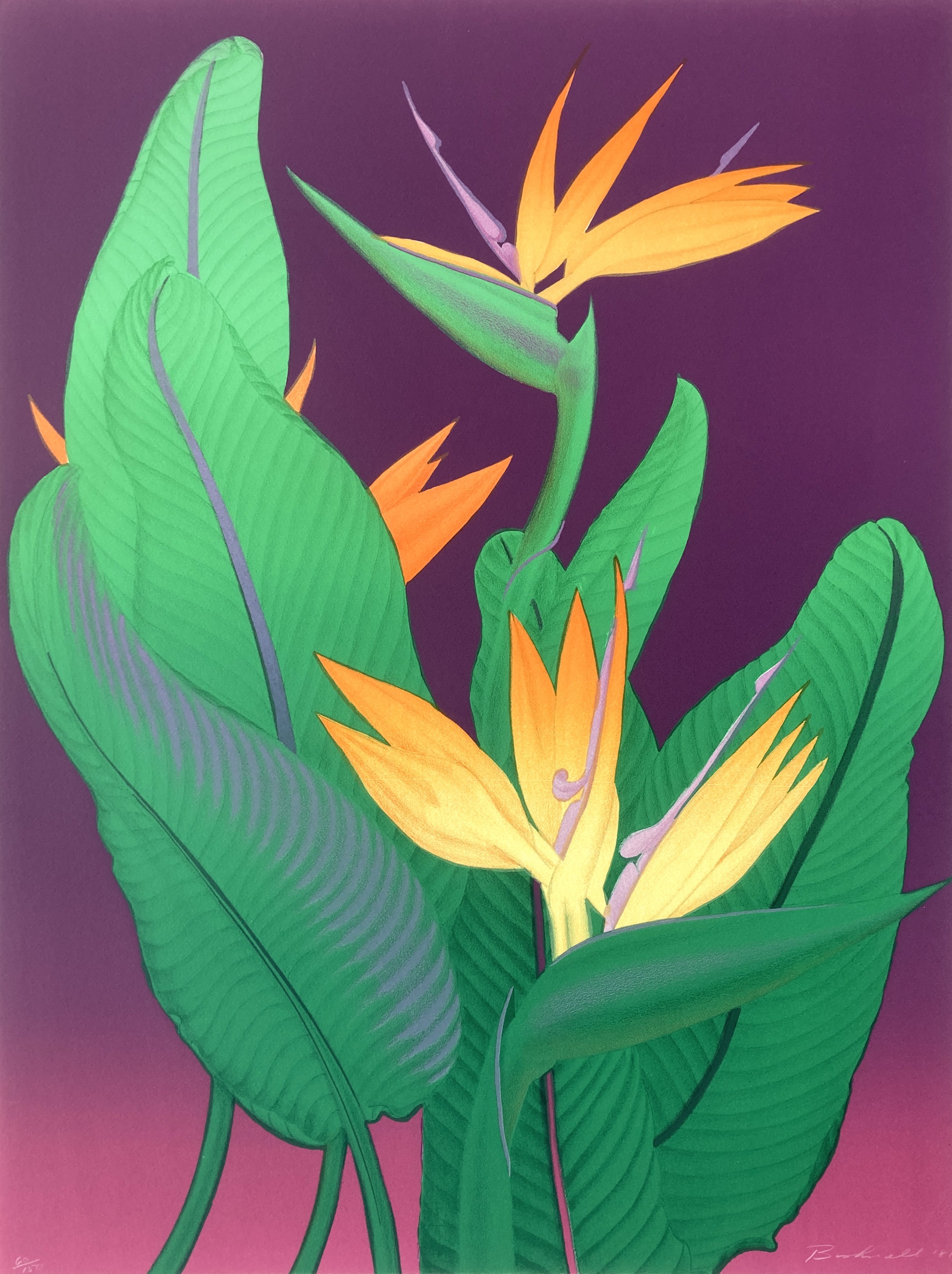 Ken Bushnell, Night bird Ken Bushnell, Night bird
