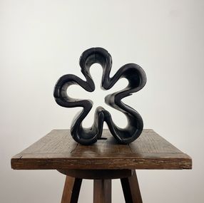 Sculpture, Meandering II, Andreea Zahiu