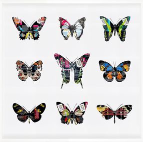 Gemälde, Butterflies, Luke Newton