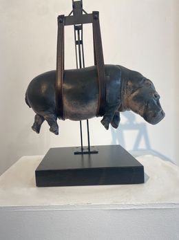 Escultura, Il peso del tempo sospeso/Ippopotamo 8/8, Stefano Bombardieri