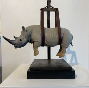 Escultura, Il peso del tempo sospeso/rhino piccolo 7/8, Stefano Bombardieri
