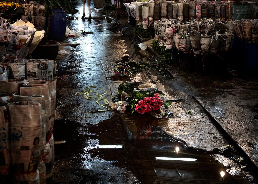 David Drebin, Never Look Back (Lightbox) David Drebin, Never Look Back (Lightbox)
