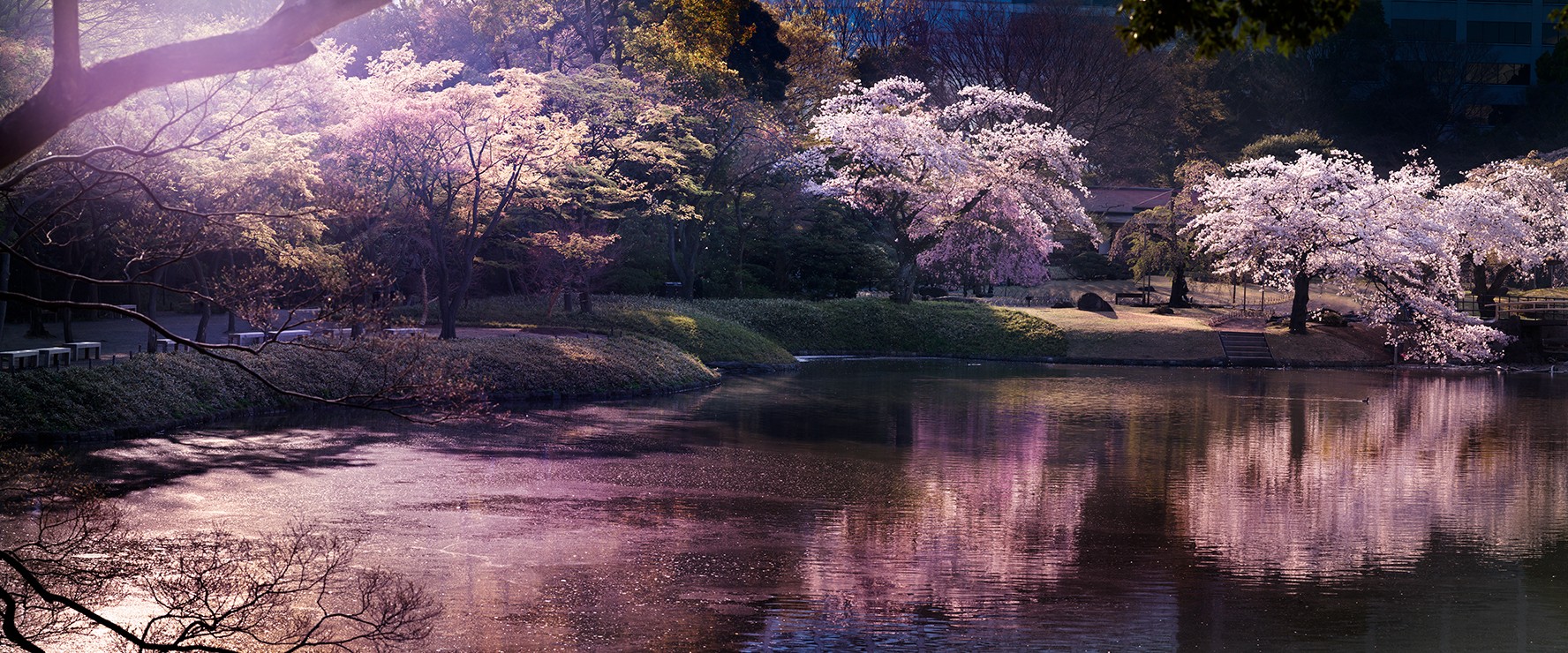 David Drebin, Pink Hour (Lightbox) David Drebin, Pink Hour (Lightbox)