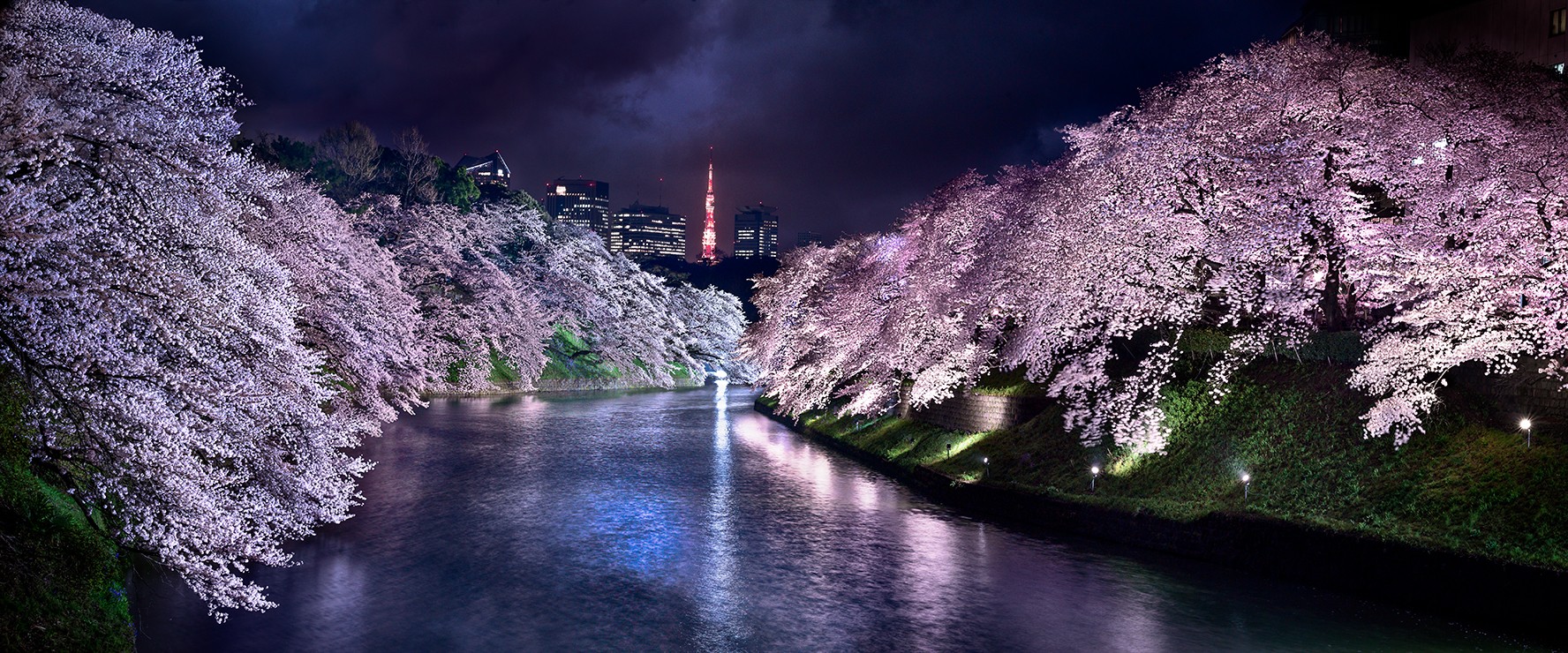 David Drebin, Pink Nights (Lightbox) David Drebin, Pink Nights (Lightbox)