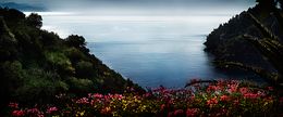 Photographie, Portofino Flowers (M), David Drebin