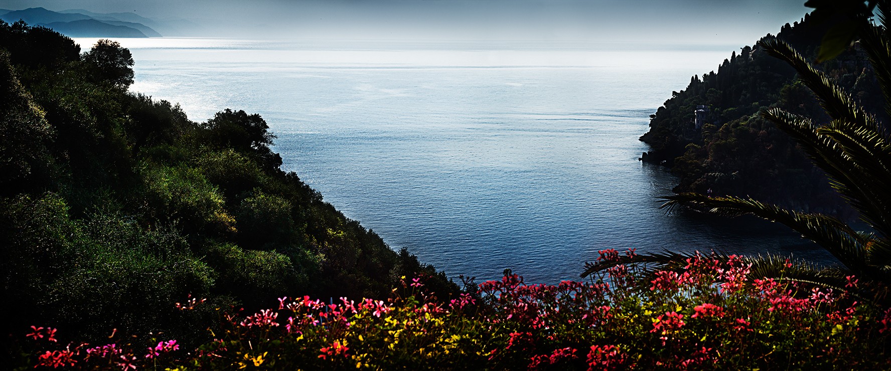 David Drebin, Portofino Flowers (L) David Drebin, Portofino Flowers (L)