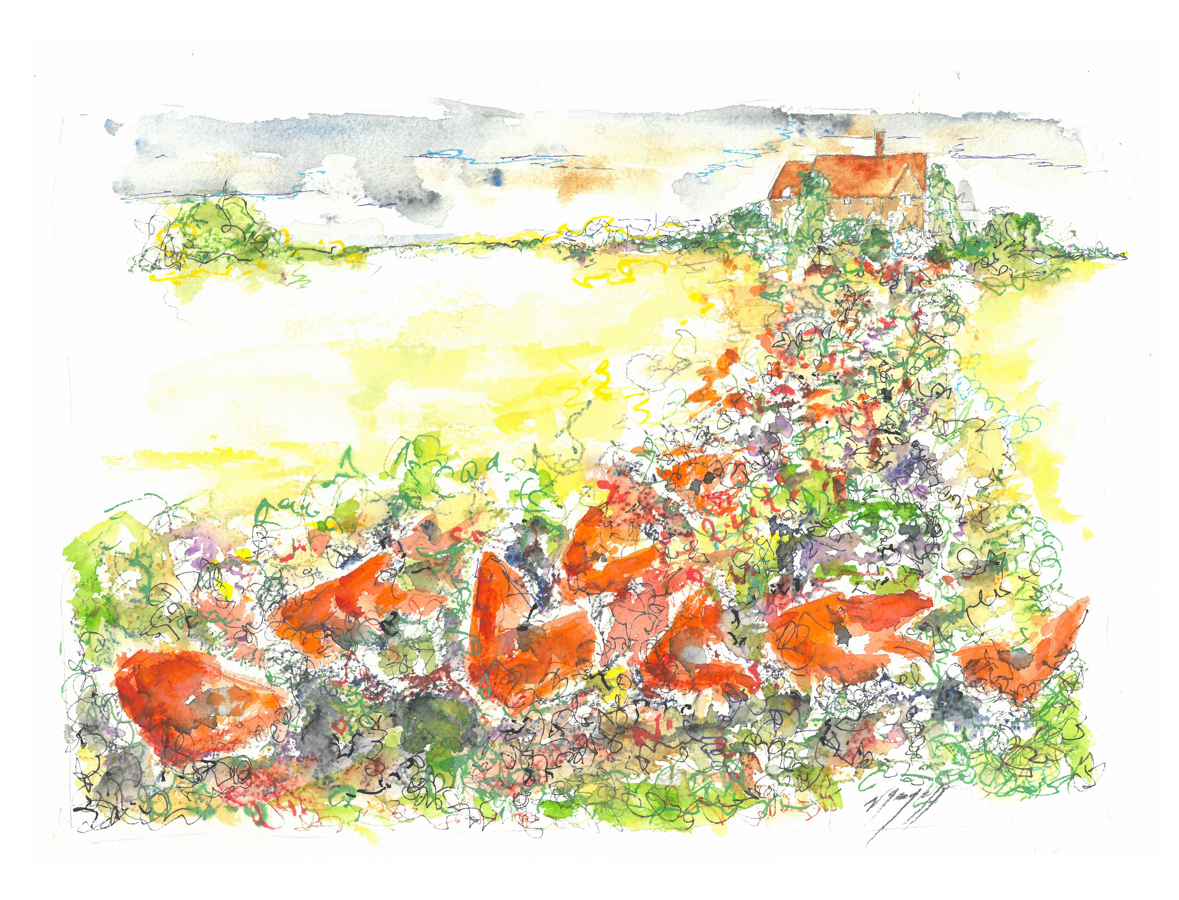 Noël Granger, Un champ de coquelicots ! Noël Granger, Un champ de coquelicots !