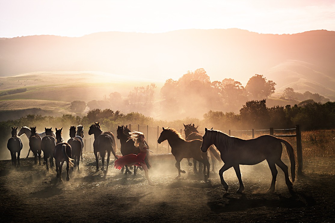 David Drebin, Running Wild (Lightbox) David Drebin, Running Wild (Lightbox)