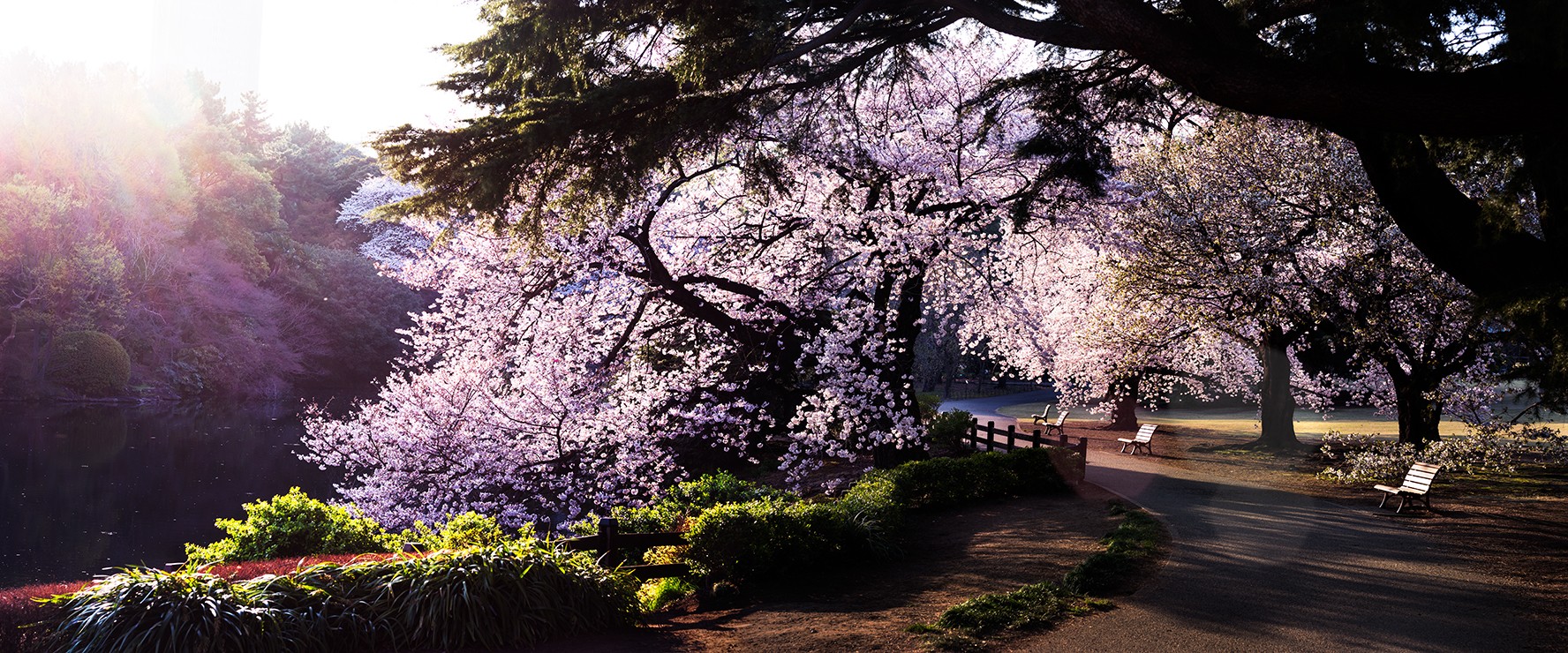 David Drebin, Tokyo Dusk (Lightbox) David Drebin, Tokyo Dusk (Lightbox)