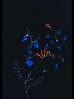 Print, Violets and blue, Rolanda Jongerius