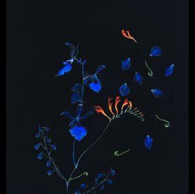Édition, Violets and blue, Rolanda Jongerius
