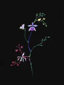Edición, Rainbow flowers, Rolanda Jongerius