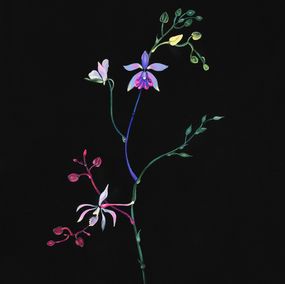 Drucke, Rainbow flowers, Rolanda Jongerius