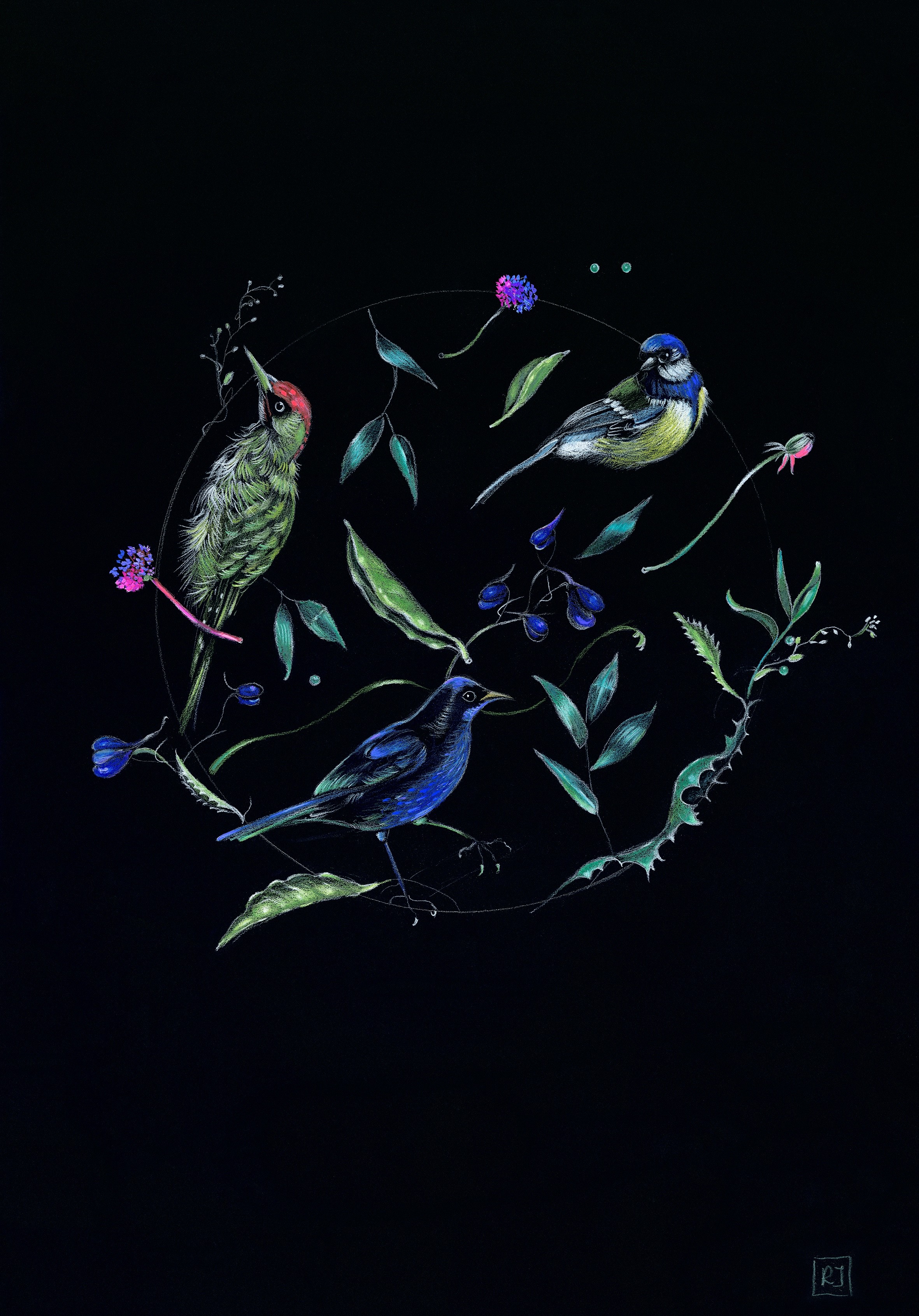Rolanda Jongerius, Circle of life Rolanda Jongerius, Circle of life