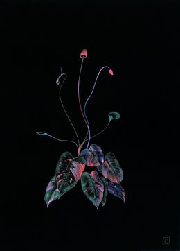 Édition, Flower jewels nr 1, Rolanda Jongerius