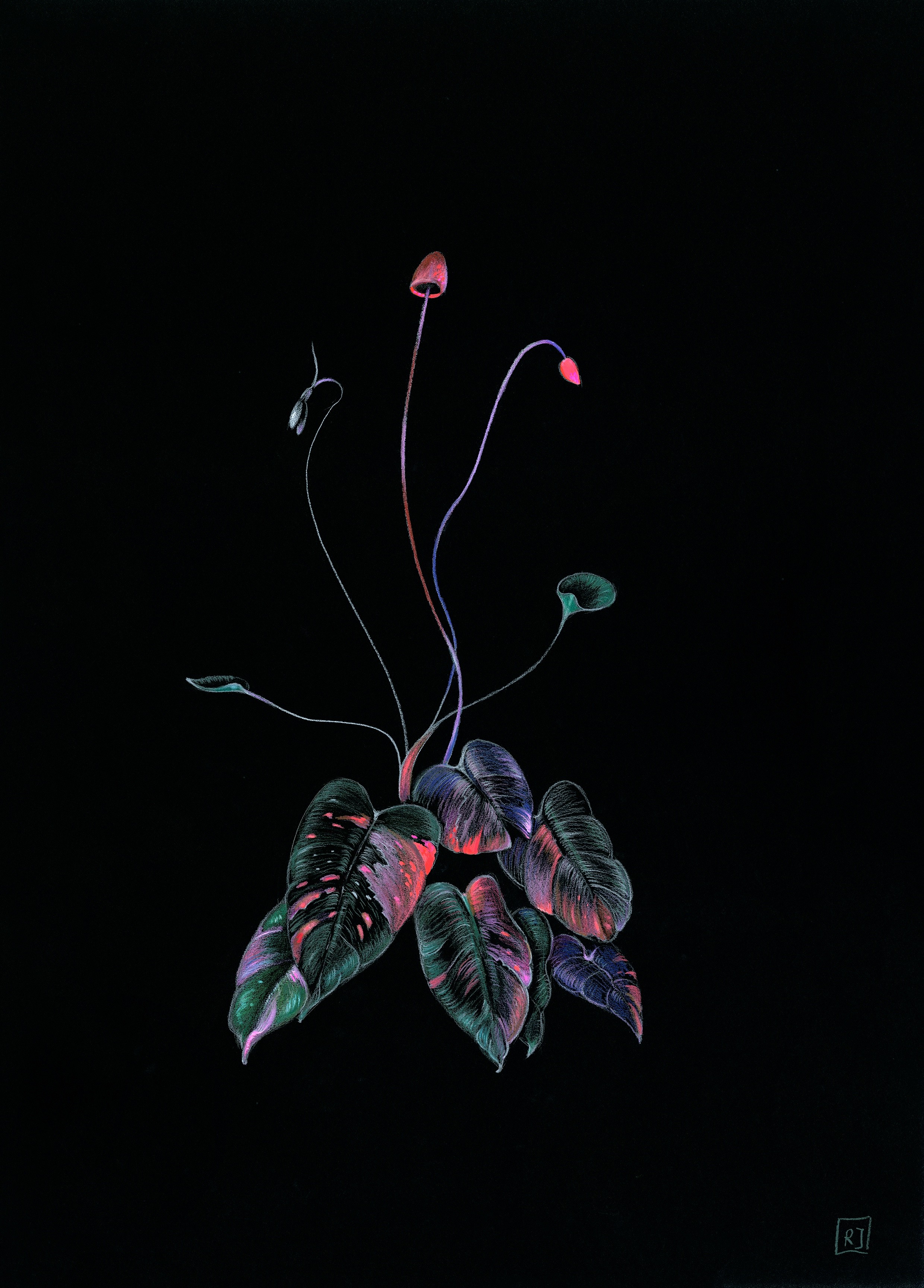 Rolanda Jongerius, Flower jewels nr 1 Rolanda Jongerius, Flower jewels nr 1