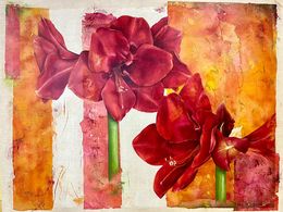 Peinture, Amarylis rouge, Virginie Cadoret