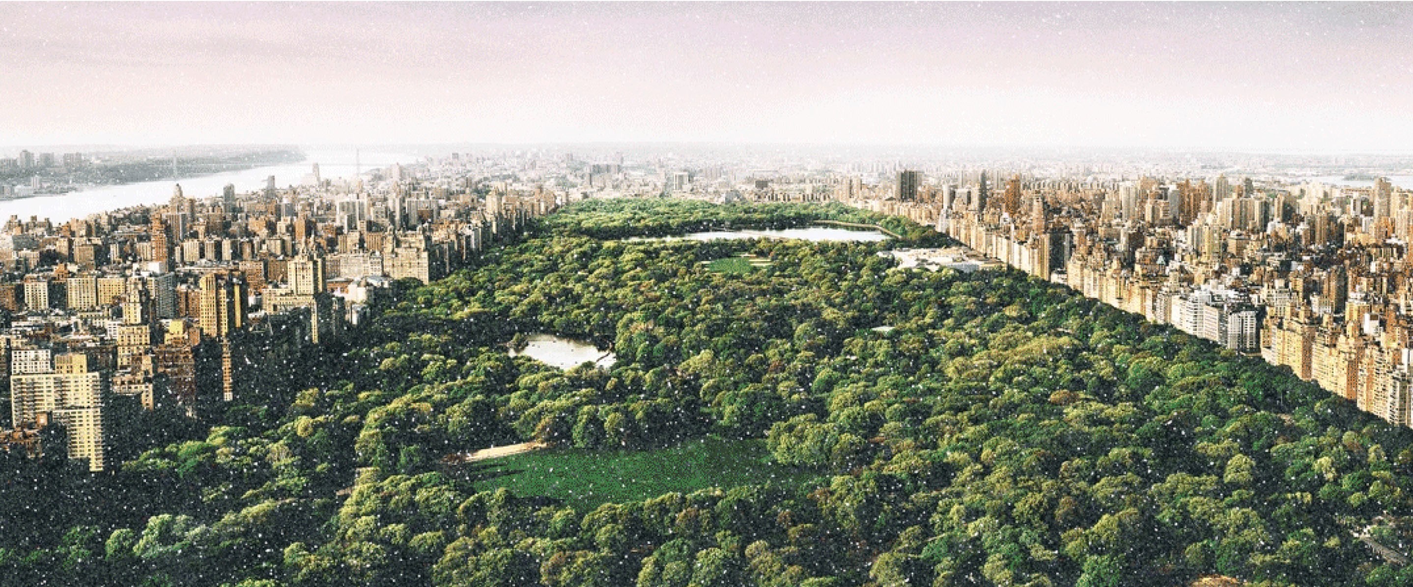 David Drebin, Dreams of central park diamond dust (M) David Drebin, Dreams of central park diamond dust (M)