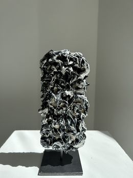 Escultura, Sculpture Carbon black numéro 1, Tanc