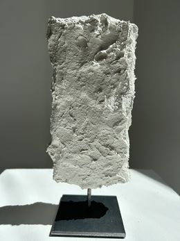 Sculpture, Sculpture Carbon White n°2, Tanc
