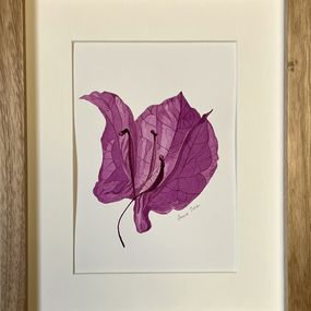 Fine Art Drawings, Bougainvillea dry flower + frame, Iryna Antoniuk