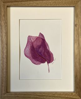 Fine Art Drawings, Bougainvillea flower + frame, Iryna Antoniuk