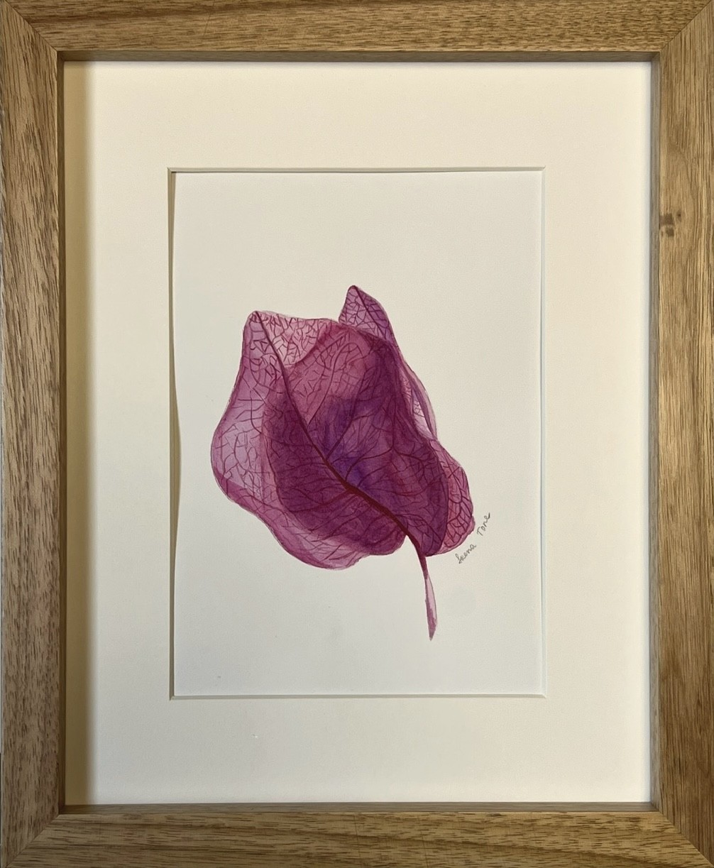 Iryna Antoniuk, Bougainvillea flower + frame Iryna Antoniuk, Bougainvillea flower + frame