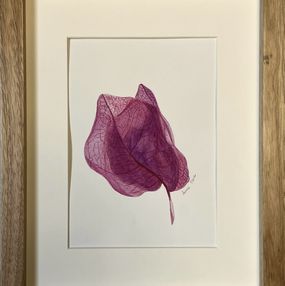 Dessin, Bougainvillea flower + frame, Iryna Antoniuk