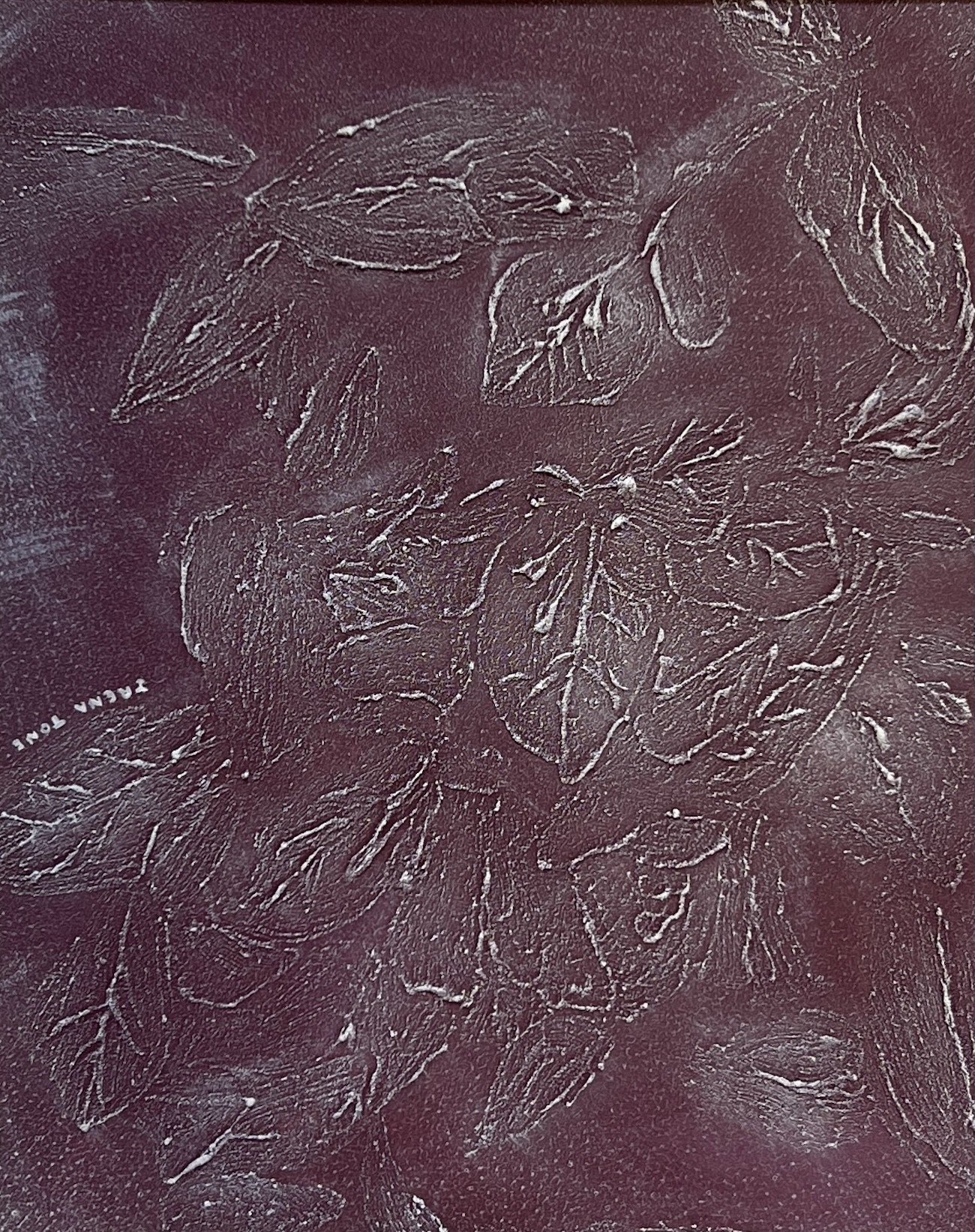 Irena Tone, Bougainvillea leaves Irena Tone, Bougainvillea leaves