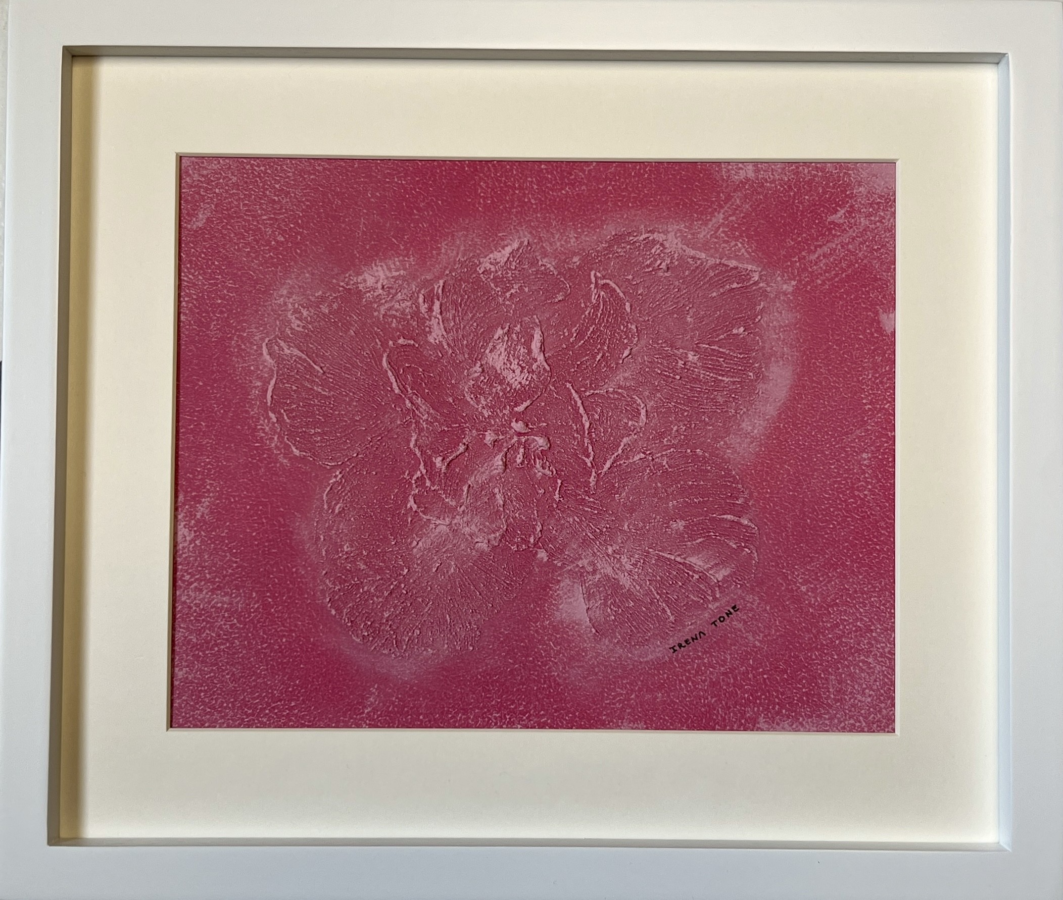 Irena Tone, Hibiscus Rose Irena Tone, Hibiscus Rose