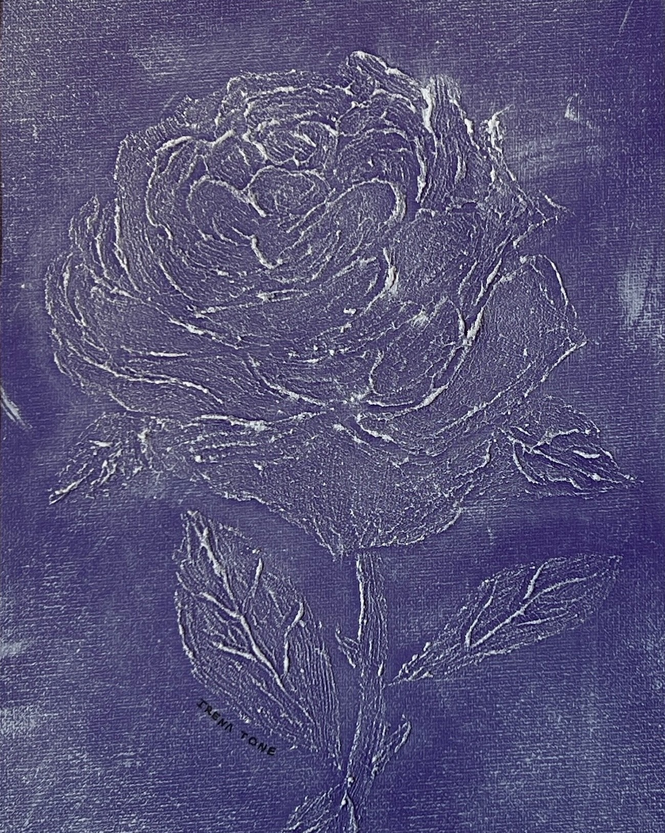 Irena Tone, Violet Rose Irena Tone, Violet Rose