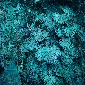 Painting, Monstera, Alfons Alt