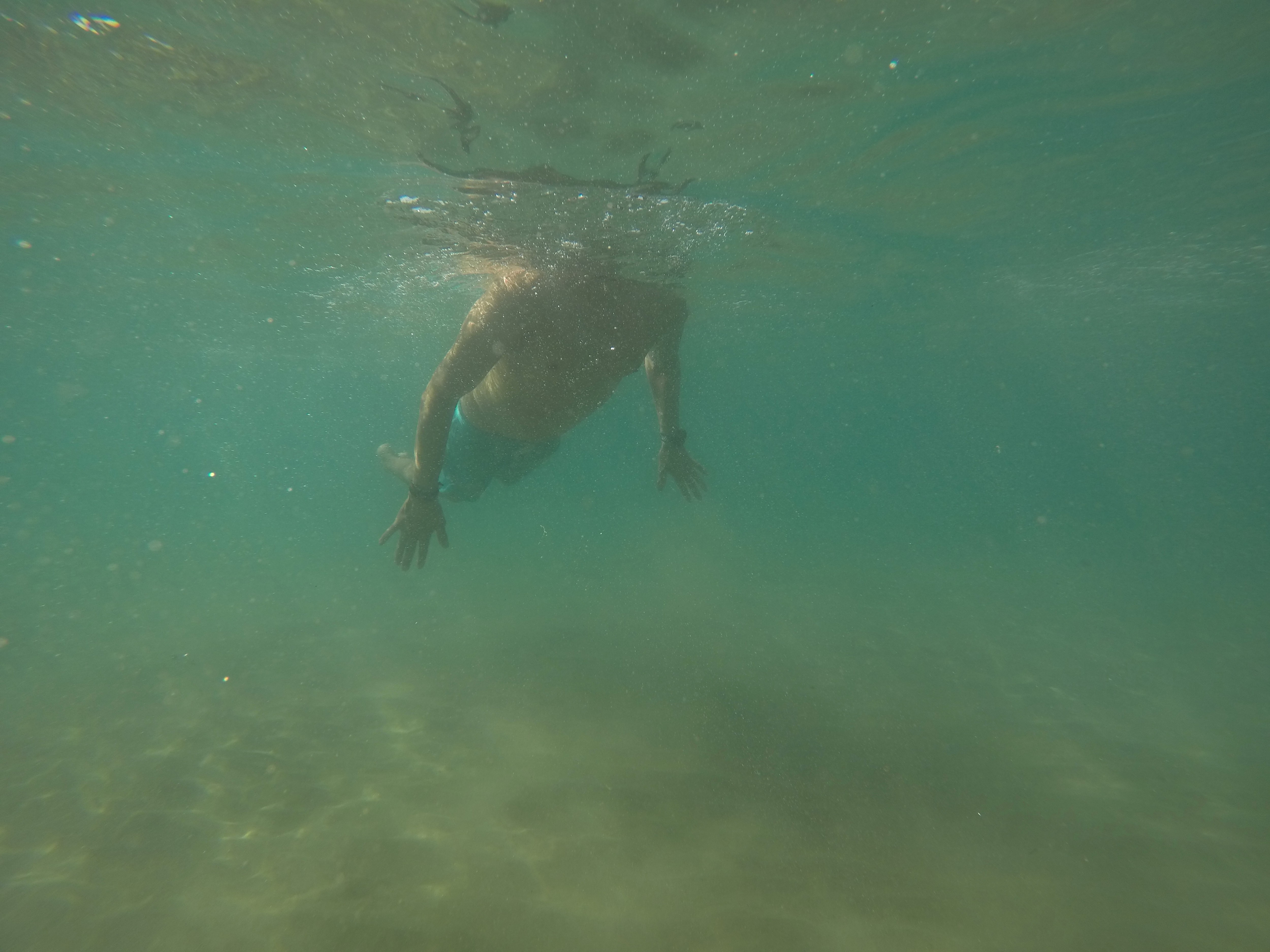 Jenny Owens, Under Water series Jenny Owens, Under Water series