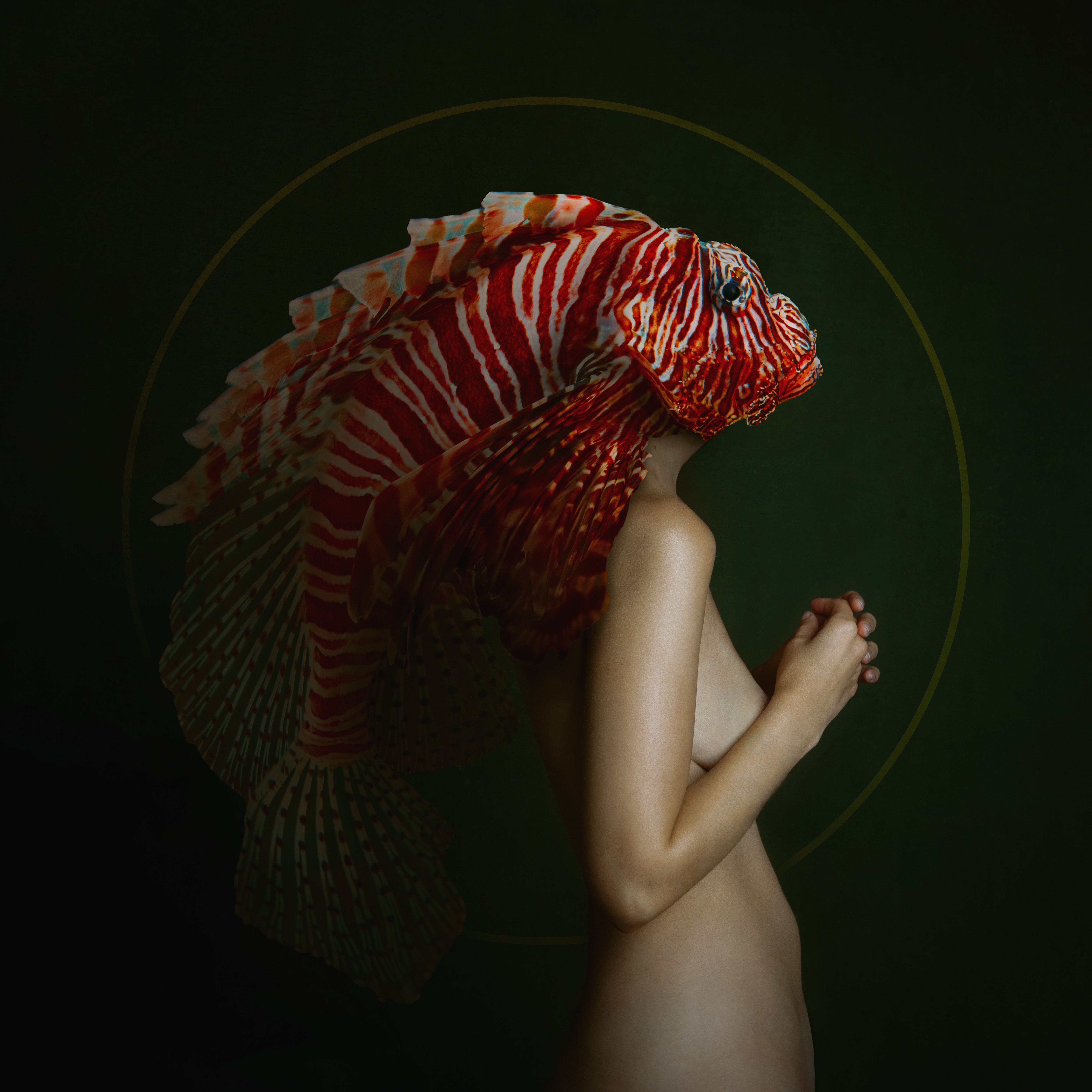Deborah Zuanazzi, Mermaid - Format M Deborah Zuanazzi, Mermaid - Format M