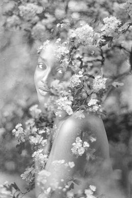 Fotografien, Queen of Flowers - Format XS, Clara Diebler