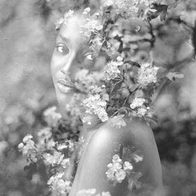Photography, Queen of Flowers - Format L, Clara Diebler