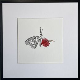 Fine Art Drawings, Butterfly on the flower + frame, Iryna Antoniuk