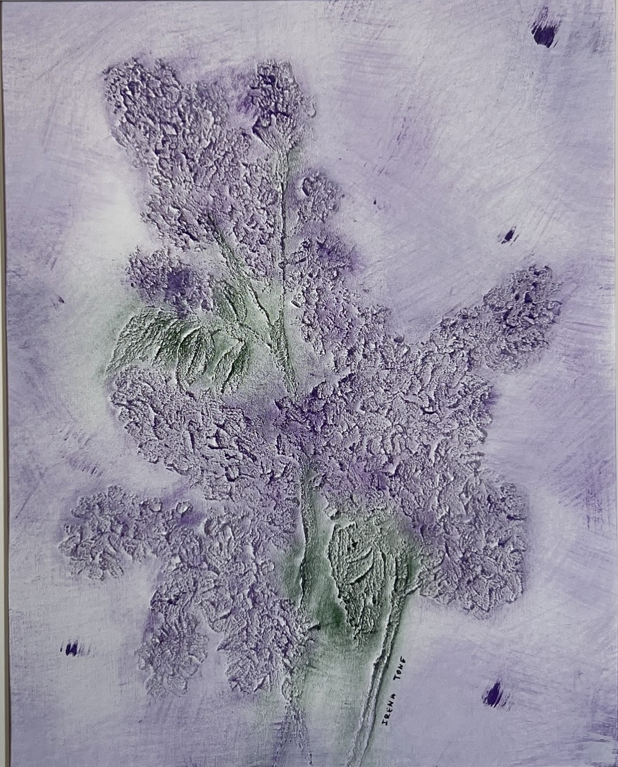 Irena Tone, Lilac Irena Tone, Lilac
