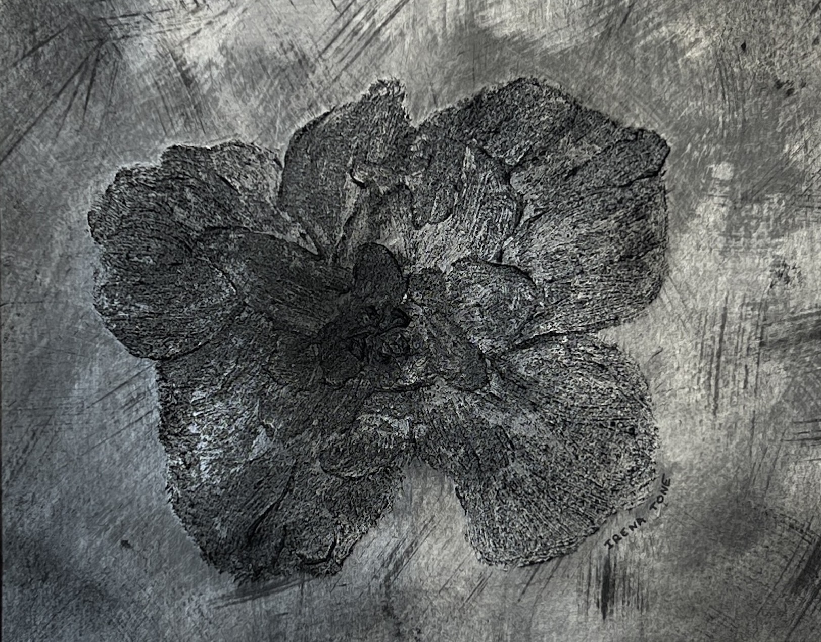 Irena Tone, Metallic hibiscus Irena Tone, Metallic hibiscus