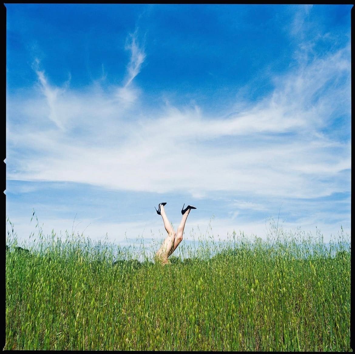 Tyler Shields, Legs in the Tall Grass (M) Tyler Shields, Legs in the Tall Grass (M)