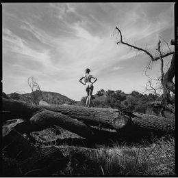 Photography, The Tree Trunk (XXL), Tyler Shields