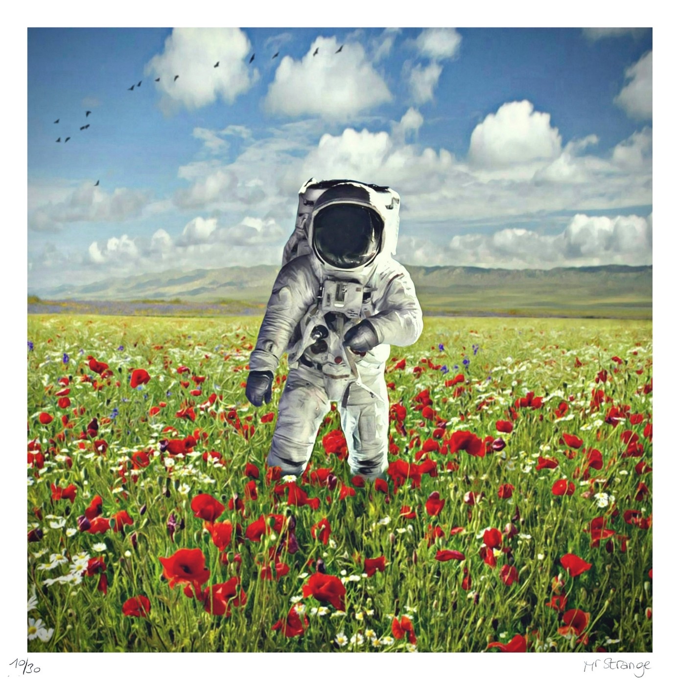 Jean-Marie Gitard (Mr Strange), Champs de Fleurs sur la planète Terre Jean-Marie Gitard (Mr Strange), Champs de Fleurs sur la planète Terre