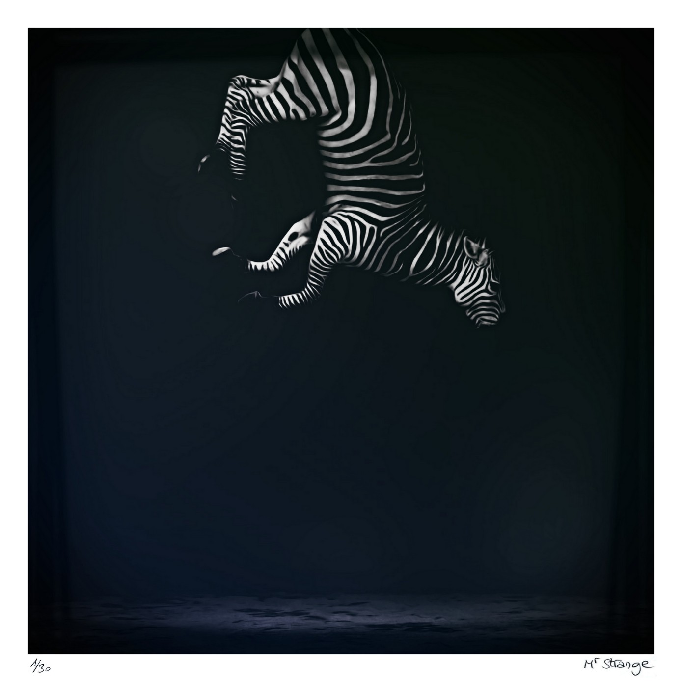 Jean-Marie Gitard (Mr Strange), Eqqus Zebra Dernier specimen Jean-Marie Gitard (Mr Strange), Eqqus Zebra Dernier specimen