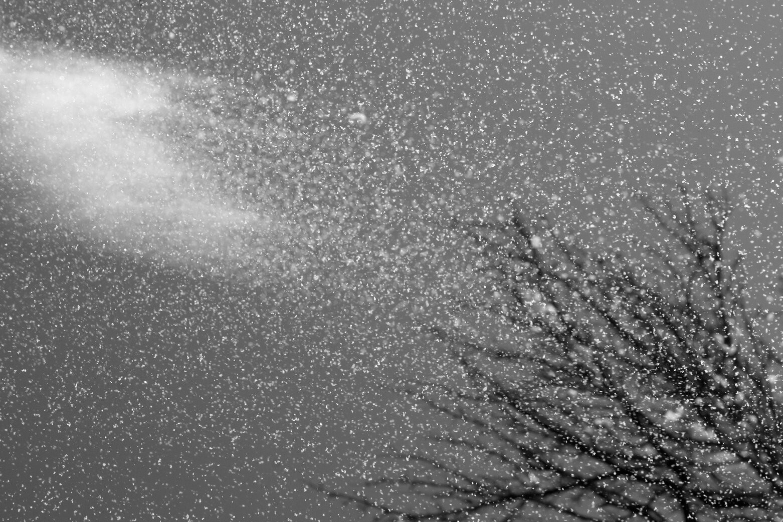 Nino Alavidze, Snow singing Nino Alavidze, Snow singing