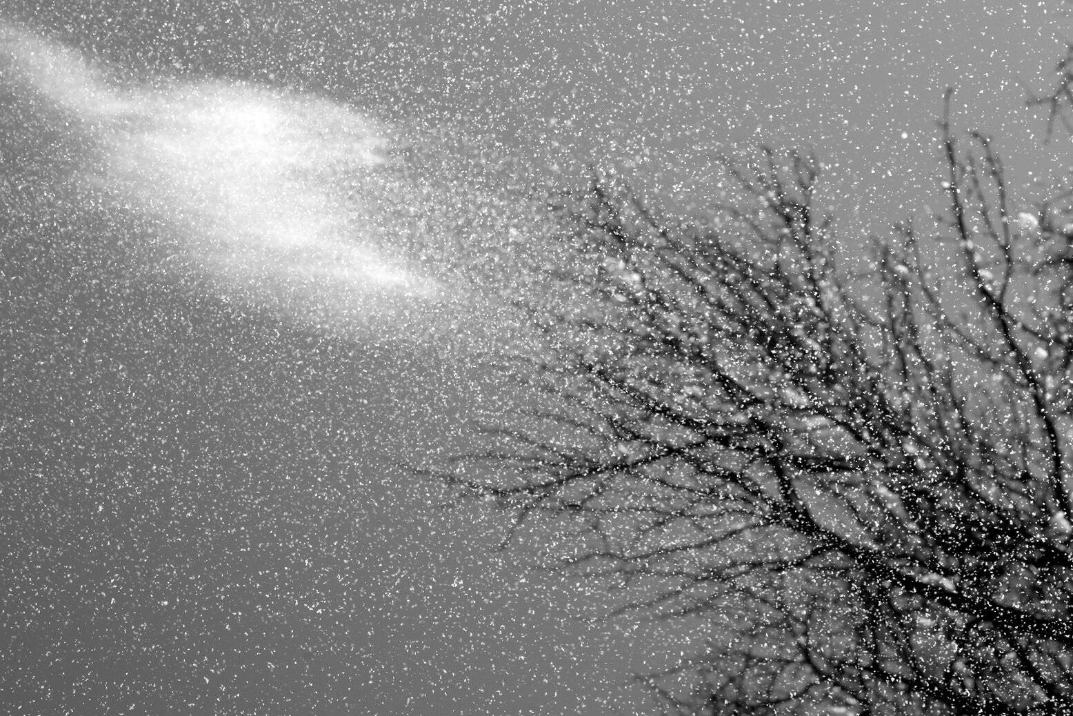 Nino Alavidze, Snow singing Nino Alavidze, Snow singing