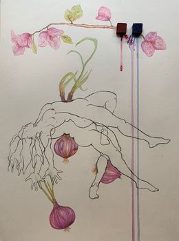 Dessin, While the onions pierce, Bougainvillea are Fierce. From the covid diaries series, Megha Joshi