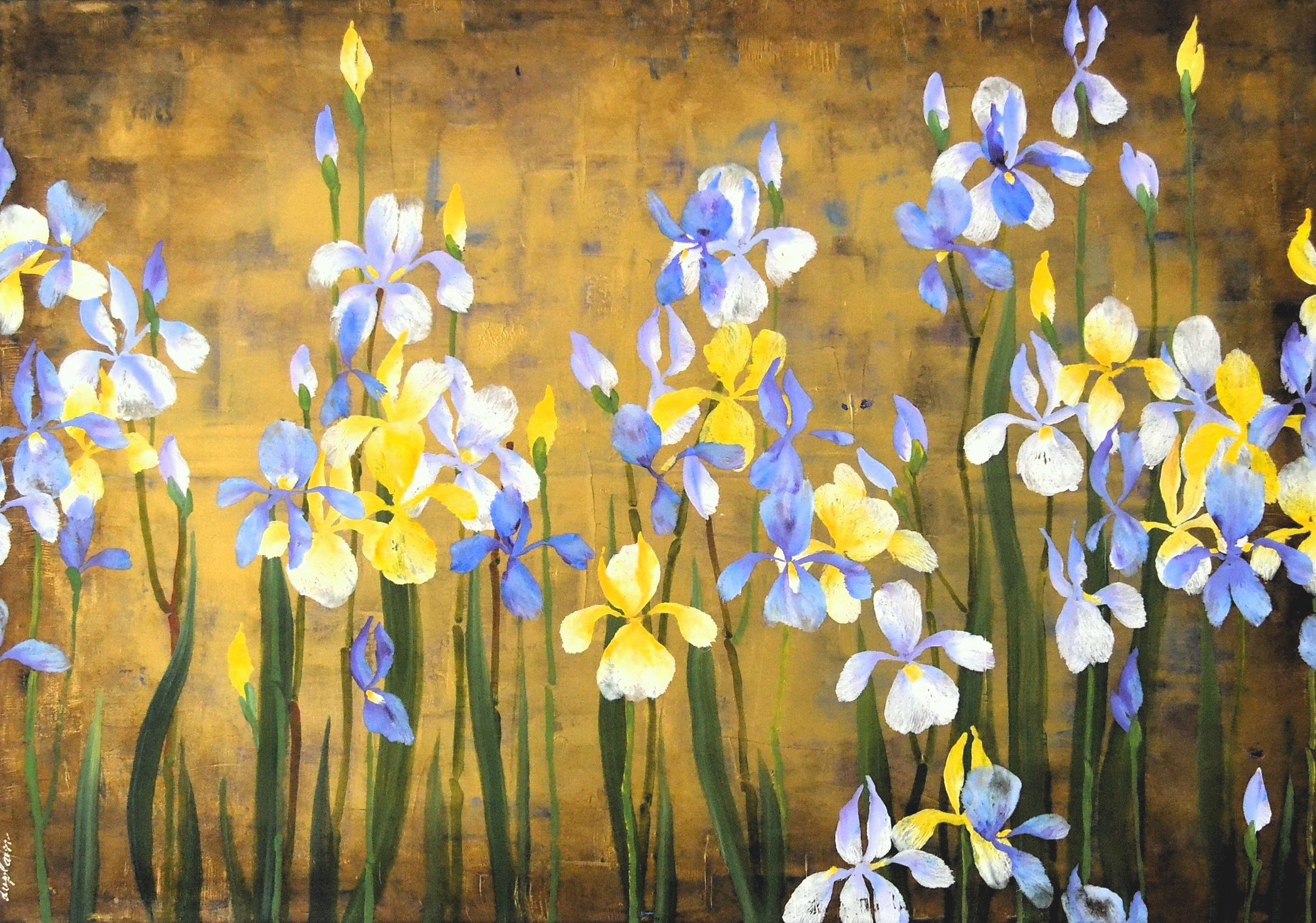Sophie Duplain, Les Iris Sophie Duplain, Les Iris