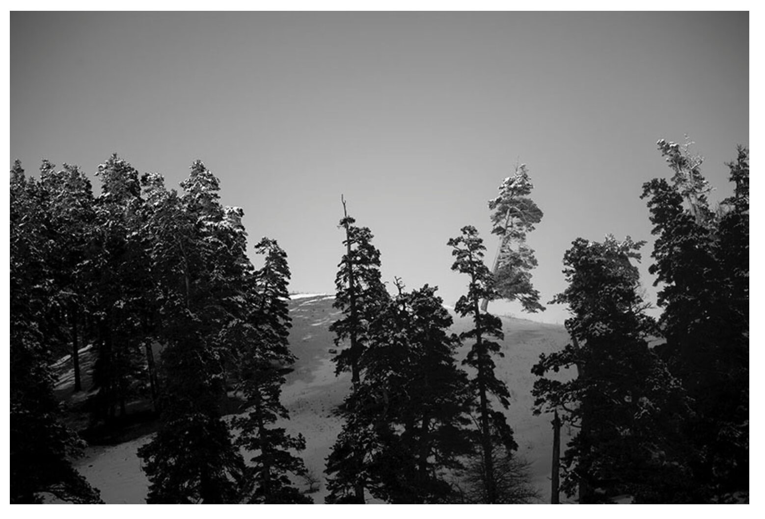 Nino Alavidze, Untitled, From the series winter soul Nino Alavidze, Untitled, From the series winter soul