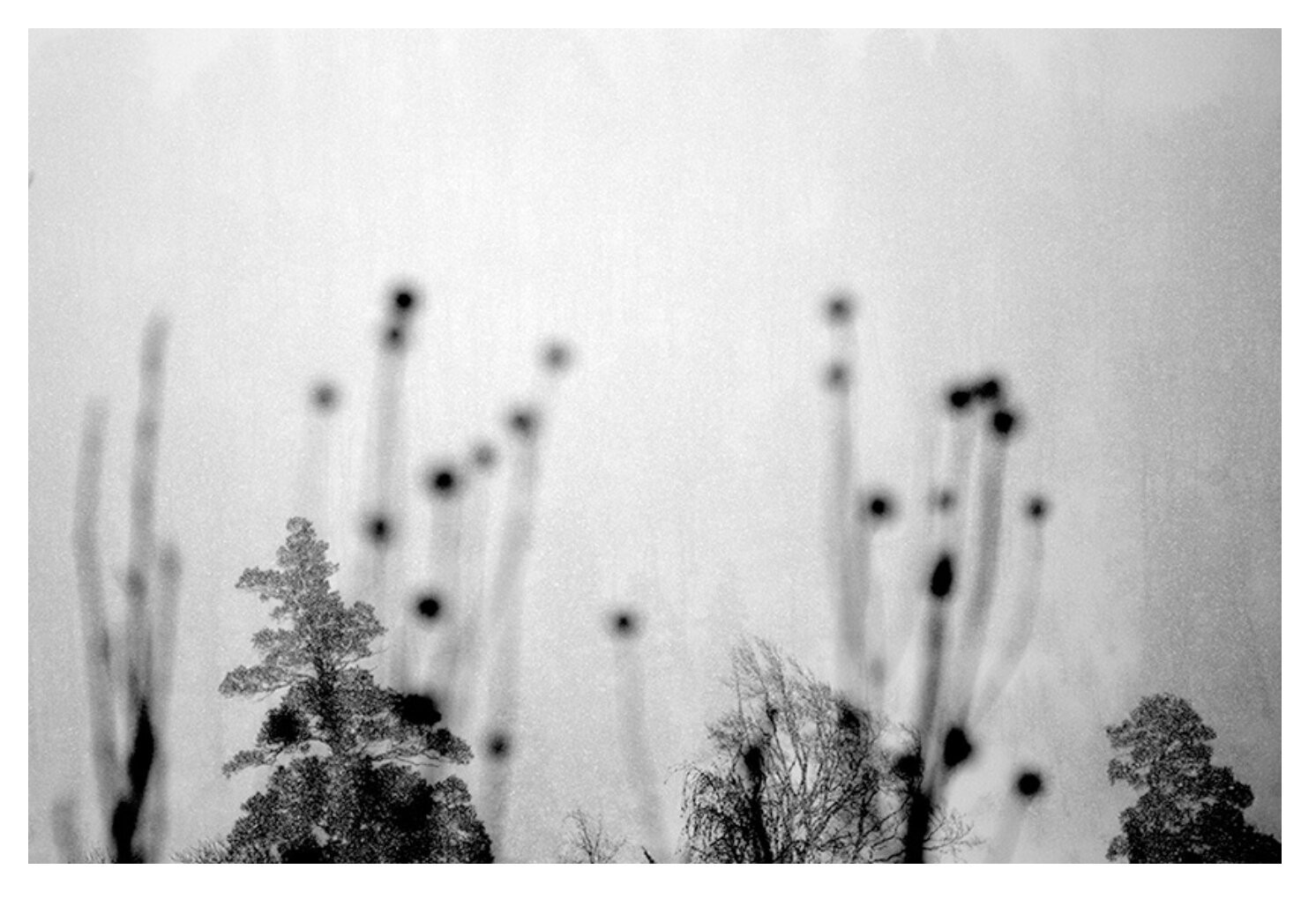 Nino Alavidze, Untitled Nino Alavidze, Untitled