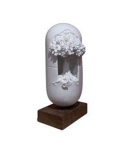 Skulpturen, 20 mg II, Herrel